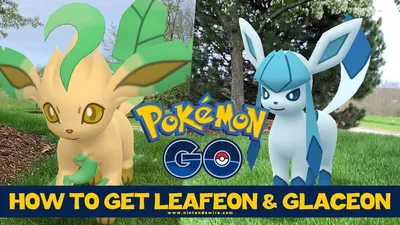 Руководство: как получить Leafeon и Glaceon в Pokémon GO — Nintendo Wire картинки