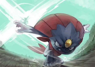 Sneasel & Weavile - /vp/ - Покемоны - 4archive.org картинки