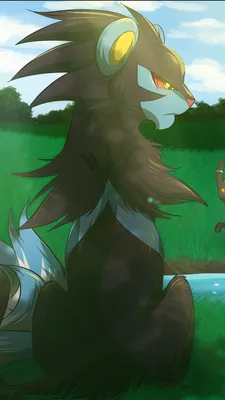 ID: 403374 / Аниме обои для телефона с покемонами, Rapidash (Pokémon), Luxray (Pokémon), Eeveelutions, 1080x1920 скачать бесплатно картинки