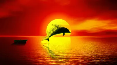 Dolphin Dispersion Sunset 4k, HD Artist, 4k обои, изображения, фоны, фото и картинки картинки