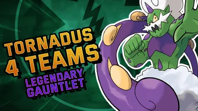 Легендарная перчатка Tornadus, серия из 12 побед, часть 3 | Мастера покемонов EX|ポケマス – YouTube картинки