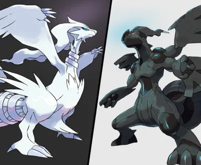 zekrom-and-reshiram-legendary-pokemon-black-and-white-artwork-lets-play картинки