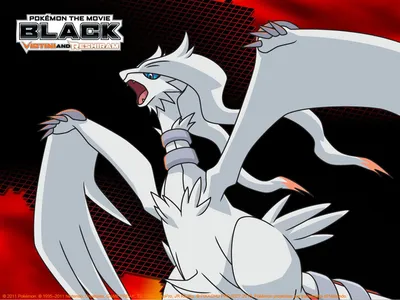 Pokémon the Movie: Black — Виктини и Реширам теперь играют на официальном канале Twitch для Pokemon | Блог покемонов картинки