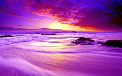 Purple Beach Sunset 4k, HD Природа, 4k обои, изображения, фоны, фотографии и картинки картинки