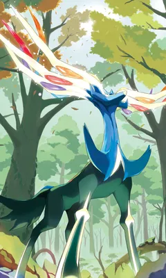 ID обоев: 340395 / Video Game Pokémon Phone Wallpaper, Legendary Pokémon, Xerneas (Pokémon), 1200x2000 скачать бесплатно картинки