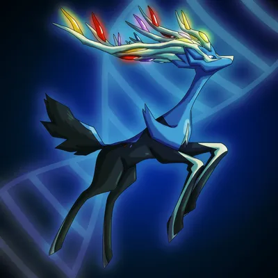 Pokemon X: Xerneas от MTC-Studios | Покемон, покемон сказочного типа, милые обои покемонов картинки