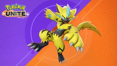 Руководство Pokemon Unite Zeraora: как разблокировать Zeraora — GameSpot картинки