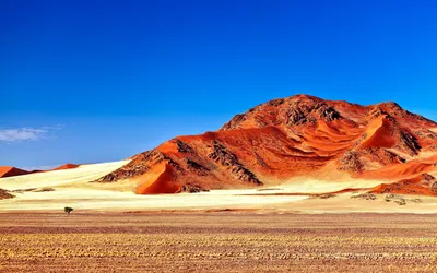 Фоновые изображения пустыни (61+ фото) картинки