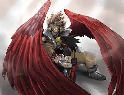 hawks and tokoyami - Boku no Hero Academia Обои (43552736) - Fanpop картинки