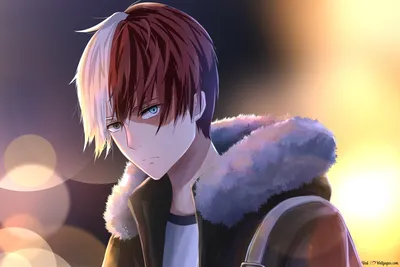 Boku no Hero Academia: Shoto Todoroki - Аниме Обои | Boku no hero academia, Sfondi, Immagini di sfondo картинки