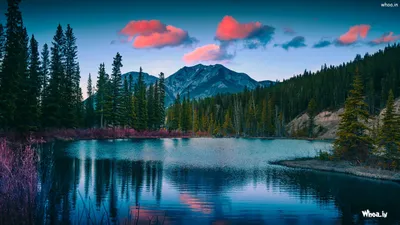 Пейзаж Природа Обои HD изображения Обои картинки