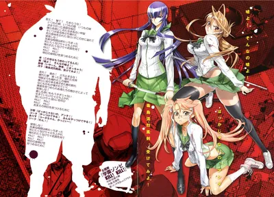 HIGHSCHOOL OF THE DEAD (REMAKE+ANIME) ~ Radio Anime PodCast Persona No Sekai -Блог картинки