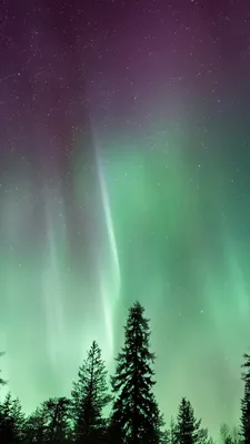 Удивительное северное сияние Aurora Borealis 4K Ultra HD Mobile Wallpaper картинки