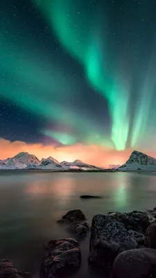 Aurora Phone Wallpapers - лучшие бесплатные обои для телефона Aurora картинки