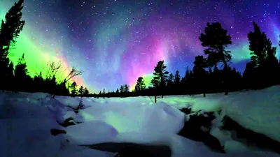 Обои Aurora Borealis, 5k, 4k обои, Абиско, Швеция, Европа, туризм, путешествия, зелень, озеро, Национальный парк, Природа #7031 картинки