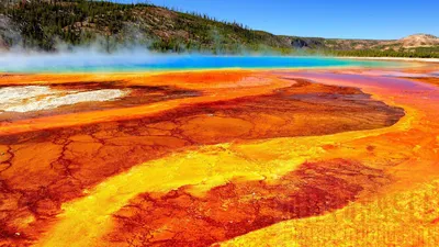 Yellowstone Geyser HD обои с теплыми цветами hd - Магазин KDE картинки