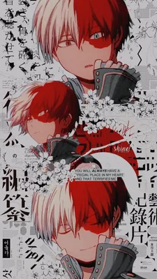 Скачать обои Todoroki Cherry Blossoms Aesthetic My Hero Academia картинки