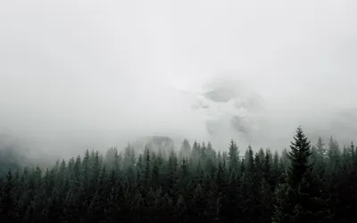 1000+ лучших обоев Fog Mac скачать бесплатно HD - AllMacWallpaper картинки