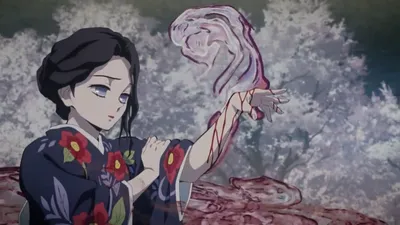 Demon Slayer Corps: Kimetsu no Yaiba 10 – Being Susamaru is Suffering – The  Animanga Spellbook картинки