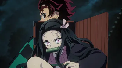 Незуко Камадо/Отношения | Kimetsu no Yaiba вики | Fandom картинки