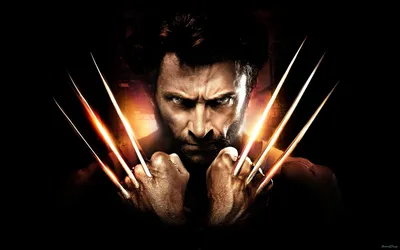 1920x1080 Ноутбук Marvel Wolverine Full HD 1080P HD 4k Обои, изображения, фоны, фото и картинки картинки