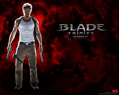 Blade Trinity - Блэйд Обои (930544) - Fanpop картинки