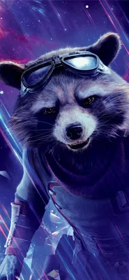 Обои Rocket Raccoon (7) от BiigM картинки