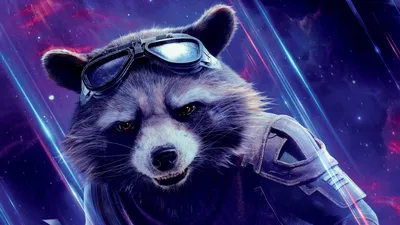 260+ Rocket Raccoon HD Wallpapers и Hintergründe картинки