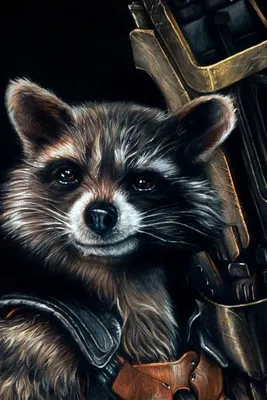 Rocket Raccoon In Avengers Endgame Sony Xperia X X... iPhone Обои Скачать бесплатно картинки