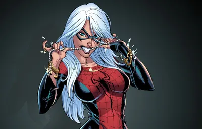 Обои костюм, Spider-Man, Black Cat, Felicia Hardy картинки на рабочий стол, раздел фантастика - скачать картинки