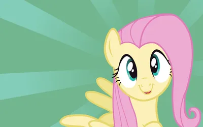 pegasus, My, Little, Pony, Fluttershy, Bronies, Green, Background, My, Little, Pony, Friendship, Is, Magic Обои HD / Обои для рабочего стола и мобильного телефона картинки