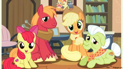 My Little Pony, Friendship Is Magic - Family 6K обои скачать картинки