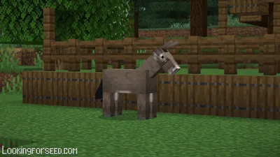 Minecraft Donkey: все, что вам нужно знать | Поиск forseed.com картинки