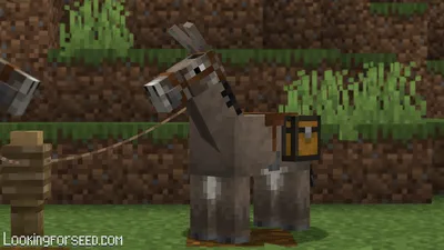 Minecraft Donkey: все, что вам нужно знать | Поиск forseed.com картинки