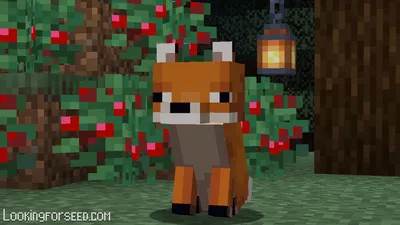 Minecraft Fox: все, что вам нужно знать | Поиск forseed.com картинки