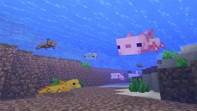 Обои Minecraft Pig Beach от Ender-David картинки