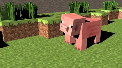 Свиньи в Minecraft: локации, как разводить, использовать и многое другое! » Первый Спорт картинки