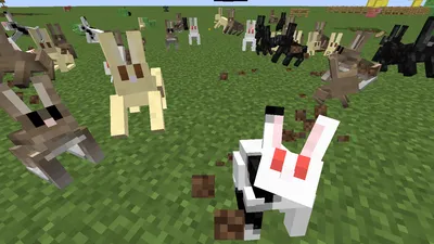 BUNNIES and RABITS - Последние обновления и снимки - Minecraft: Java Edition - Minecraft Forum - Minecraft Forum картинки