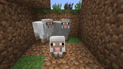 Скачать бесплатно обои Minecraft Baby Sheep для Minecraft Sheep [1366x768] для рабочего стола, мобильного и планшета | Исследуйте 41+ обоев Minecraft Sheep | Обои с овцами, обои с электрическими овцами, обои с овцами Шоном картинки