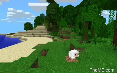 Скачать бесплатно обои Minecraft Sheep Wallpaper Minecraft Baby Sheep Photo [2560x1600] для рабочего стола, мобильного и планшета | Исследуйте 41+ обоев Minecraft Sheep | Обои с овцами, обои с электрическими овцами, обои с овцами Шоном картинки