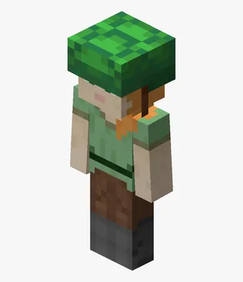 Minecraft Turtle Shell Helmet, HD Png Download, Transparent Png Image - PNGitem картинки