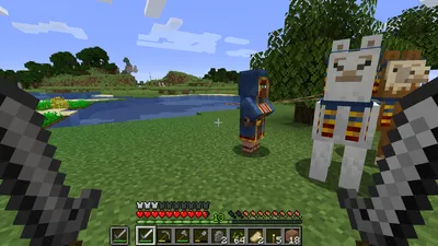 Two Wandering Traders - 1.15 pre-2 - Последние обновления и снимки - Minecraft: Java Edition - Minecraft Forum - Minecraft Forum картинки