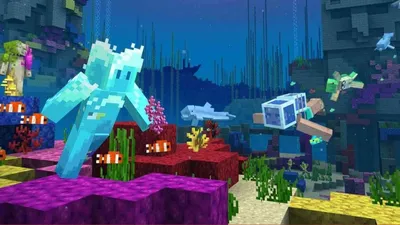 Dolphin Minecraft Mob: появление, местоположение, использование и многое другое »FirstSportz картинки