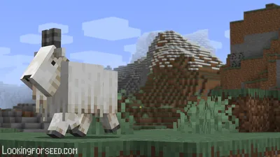 Minecraft Goat: все, что вам нужно знать | Поиск forseed.com картинки