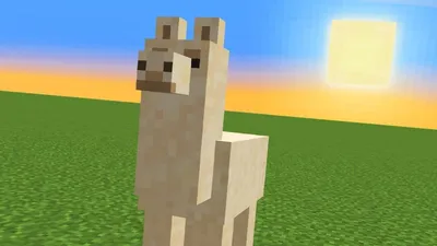 Minecraft Llama: локации, поведение, использование и многое другое! » Первый Спорт картинки