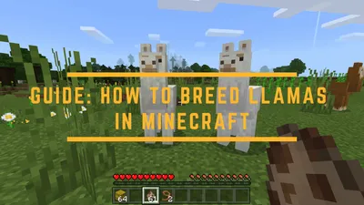 5 вещей, которые вы могли не знать о ламах в Minecraft картинки