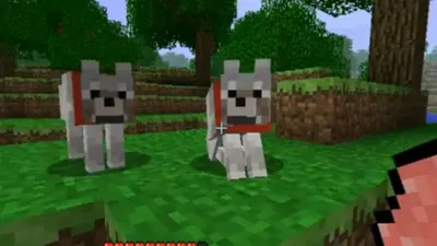 Вой: видео о Minecraft показывает домашних волков | Рок-бумажный дробовик картинки