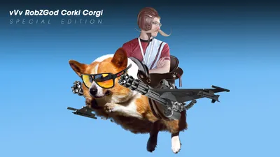 Идея скина корки: Corgi : r/leagueoflegends картинки