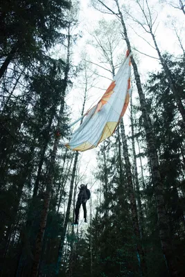 Павел Прилучный стал универсальным солдатом - новости кино - 14 июня 2021 -  фотографии - Кино-Театр.Ру картинки