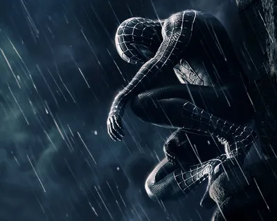 Hd Spider Man Fondos de pantalla la Fictional Character Película Charactrer Tobey Maguire Широкоэкранный Black Widow Dc Comics Высокое разрешение Изображения Человека-паука Tobey Maguire por Kele | Испанские изображения картинки